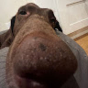 Meet your Posher, Kaia